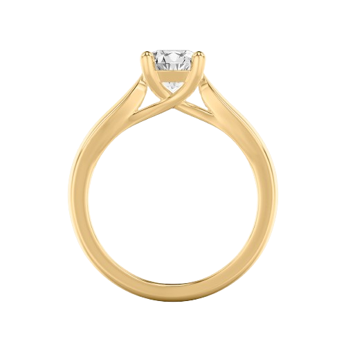 yellow gold cathedral engagement rings