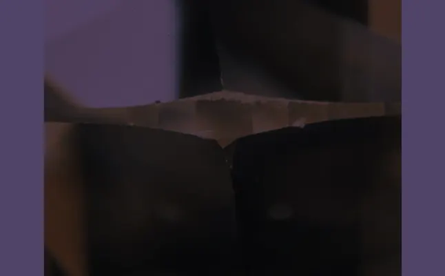 blog header diamond nick magnified