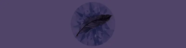 Blog header diamond with an actual feather on it