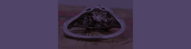 Blog header with diamond setting