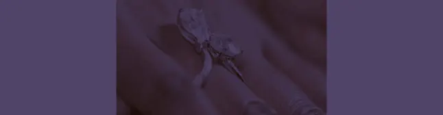 blog header with elaborate engagement ring