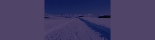 Blog header Snow plowed off of road