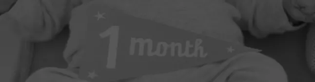 Blog header 1 month
