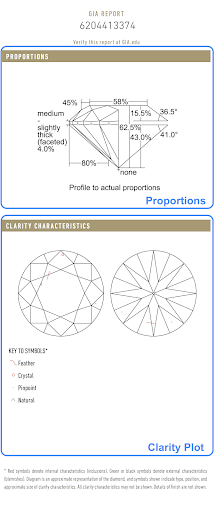 Panel 2 of the GIA Graded Report, divided into Proportions and Clarity Plots