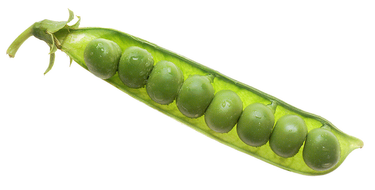 An image of peas in its pod